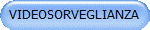 VIDEOSORVEGLIANZA